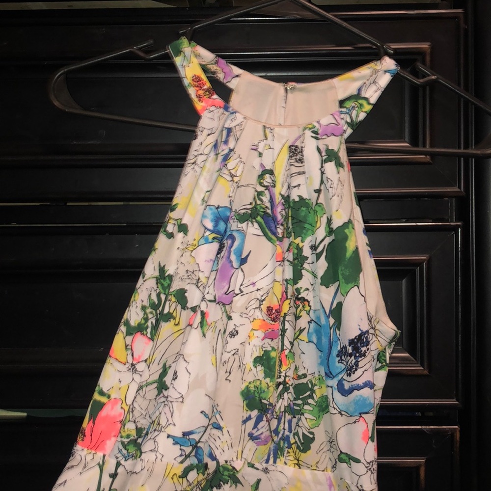 Express Dress - Picture 2 of 4